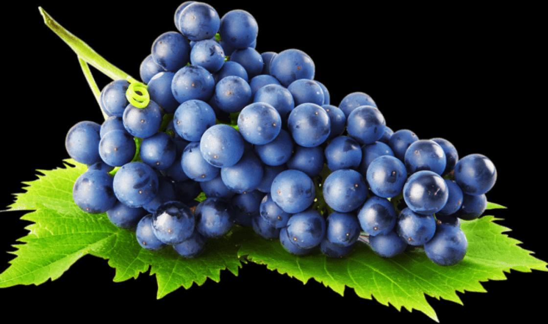 К чему снится виноградная лоза?